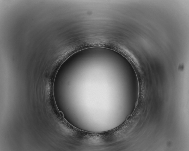 X0000099320113200805091050