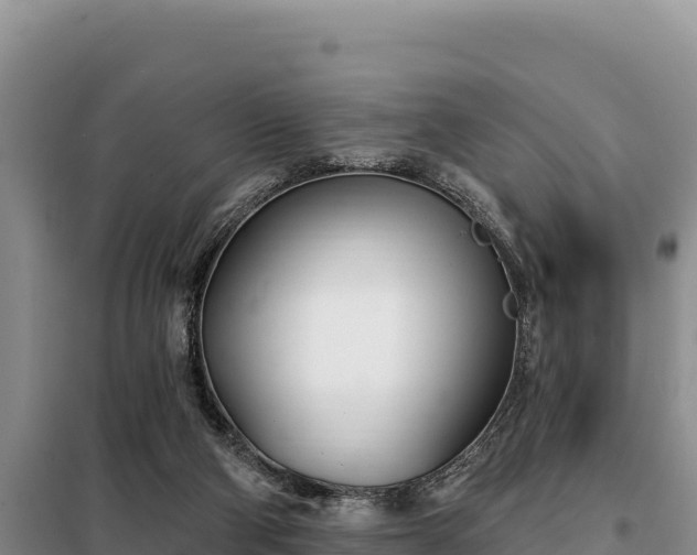 X0000099320114200805091050