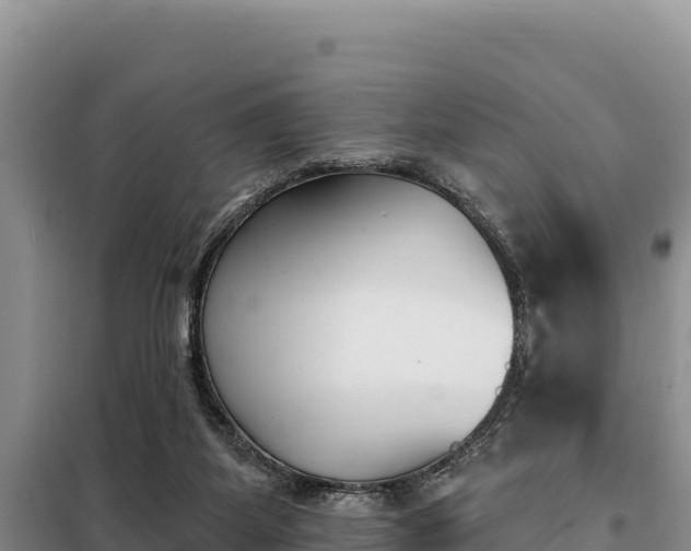 X0000099320115200805091050