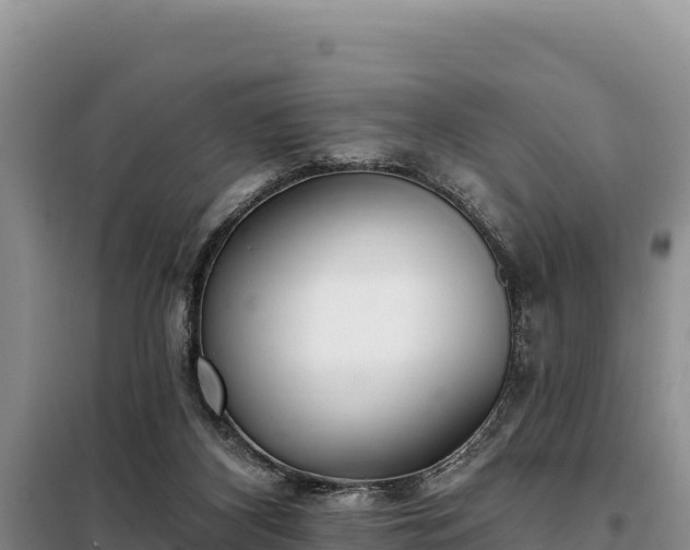 X0000099320116200805091050