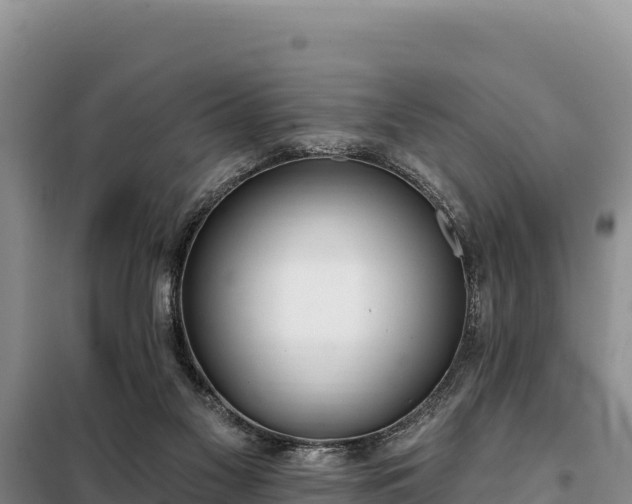 X0000099320117200805091050