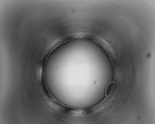 X0000099320118200805091050