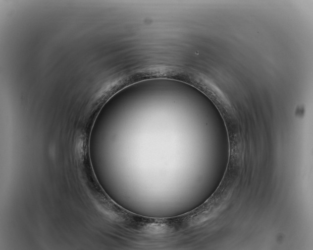 X0000099320119200805091050