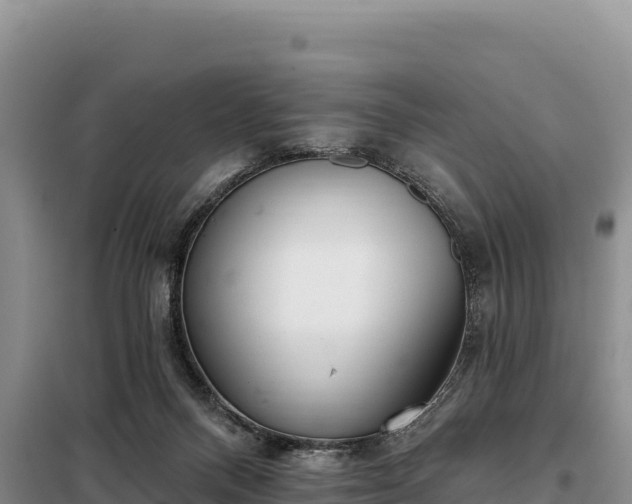 X0000099320120200805091050