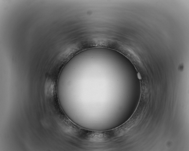 X0000099320123200805091050