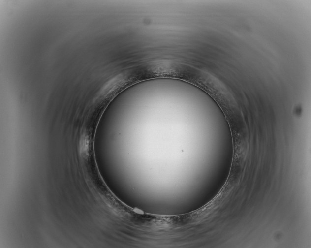 X0000099320124200805091050