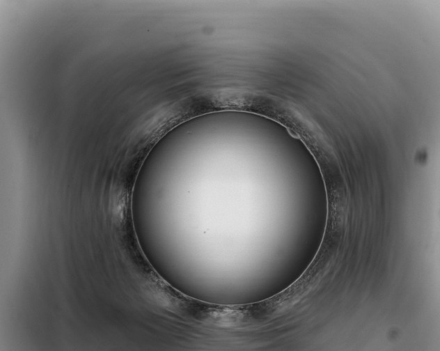 X0000099320125200805091050