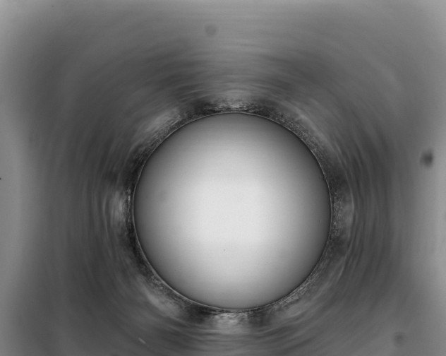 X0000099320126200805091050