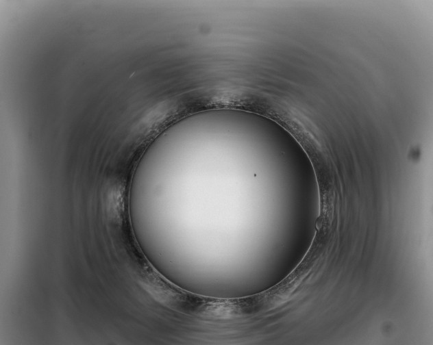 X0000099320127200805091050