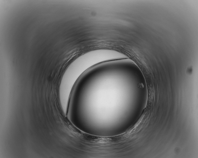 X0000099320128200805091050