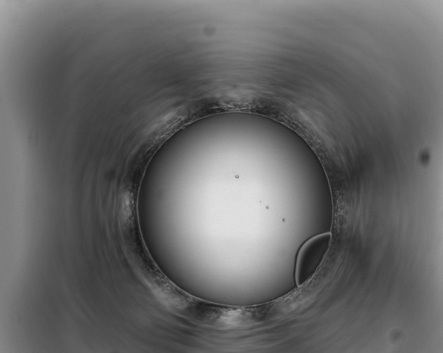 X0000099320130200805091050