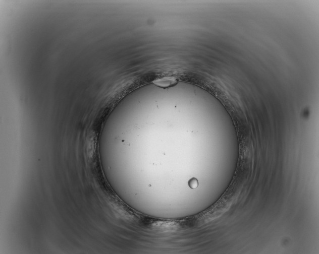 X0000099320133200805091050