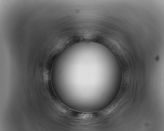 X0000099320135200805091050