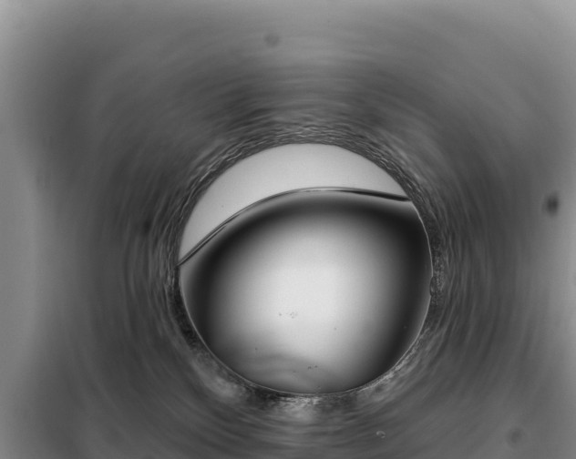 X0000099320136200805091050