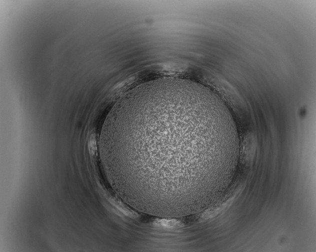 X0000099320137200805091050