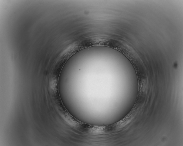 X0000099320138200805091050