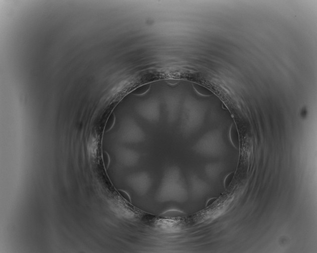 X0000099320139200805091050