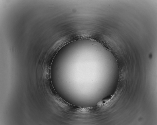 X0000099320140200805091050