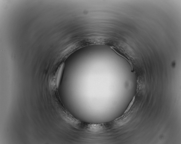 X0000099320141200805091050