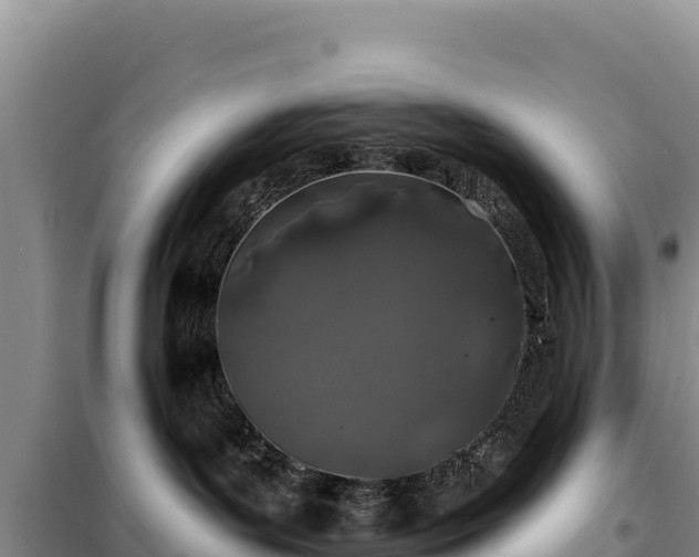 X0000099320143200805091050