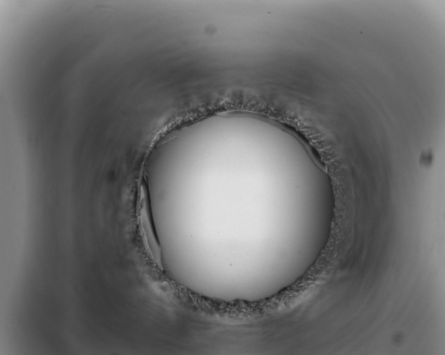 X0000099320144200805091050