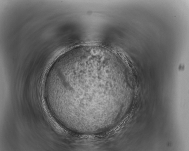 X0000099320145200805091049