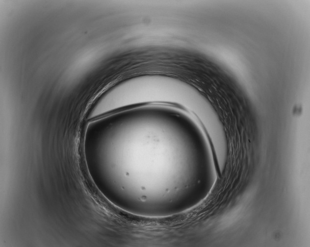 X0000099320146200805091049