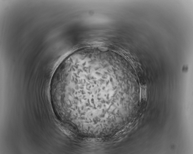 X0000099320147200805091049