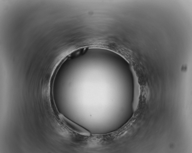 X0000099320148200805091049