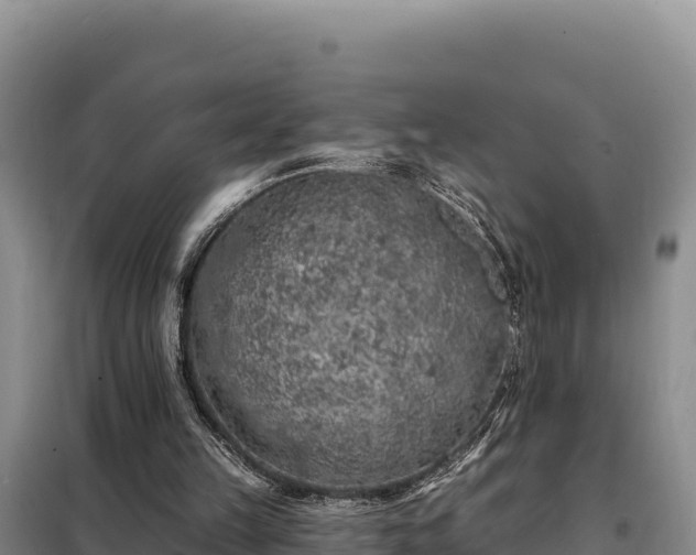 X0000099320149200805091049