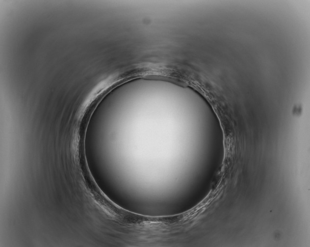 X0000099320150200805091049