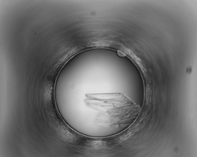 X0000099320153200805091049