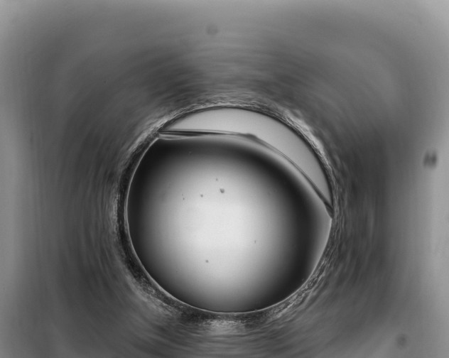 X0000099320154200805091049