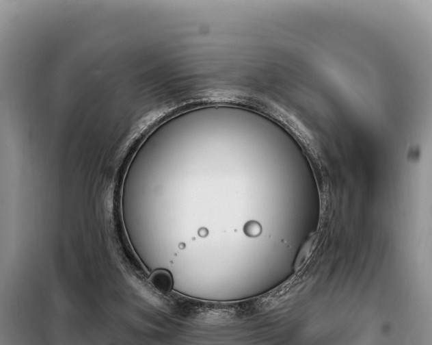 X0000099320155200805091049