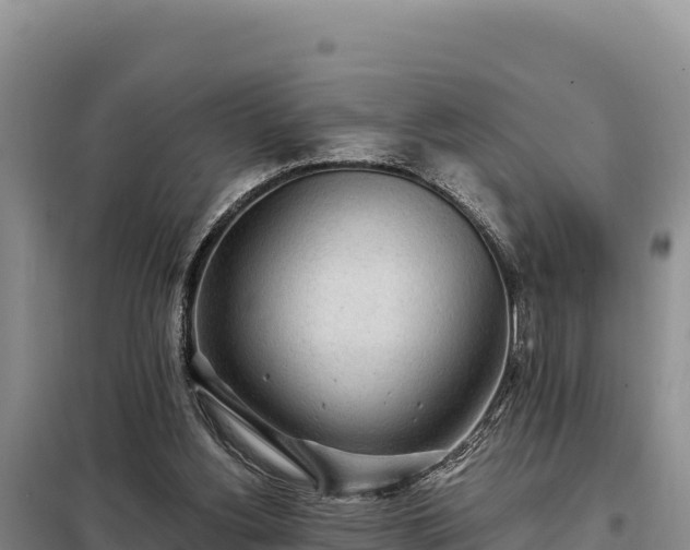 X0000099320156200805091049