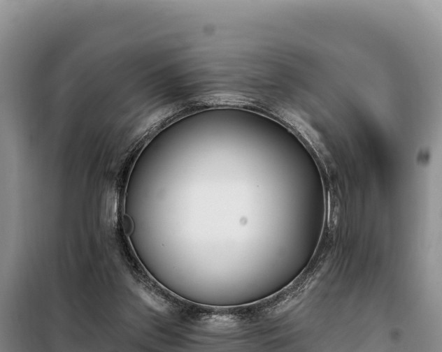 X0000099320157200805091049