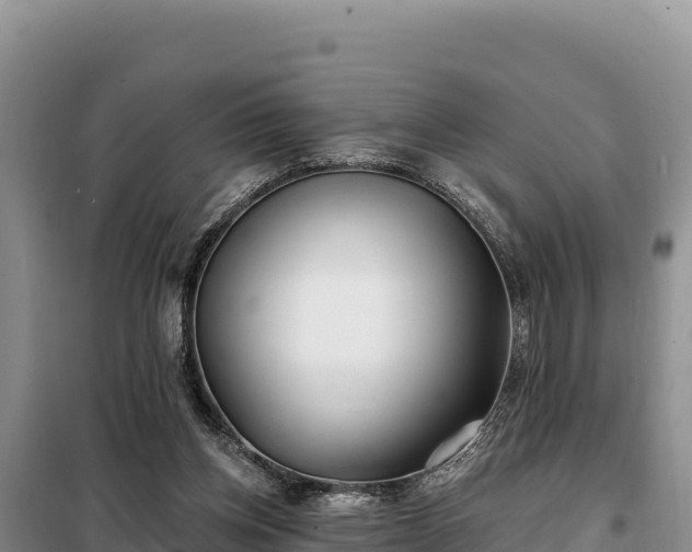 X0000099320158200805091049