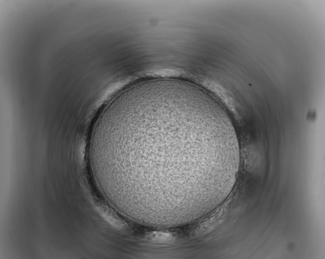 X0000099320159200805091049