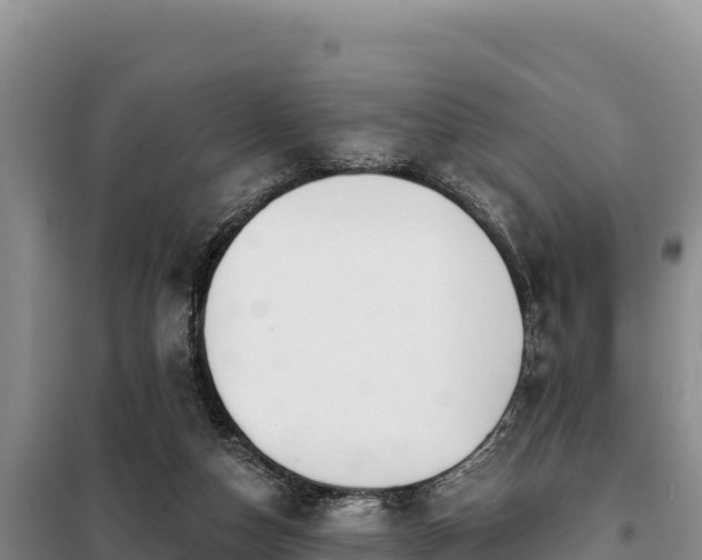 X0000099320162200805091049