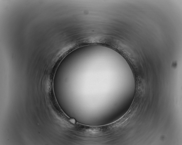 X0000099320164200805091049