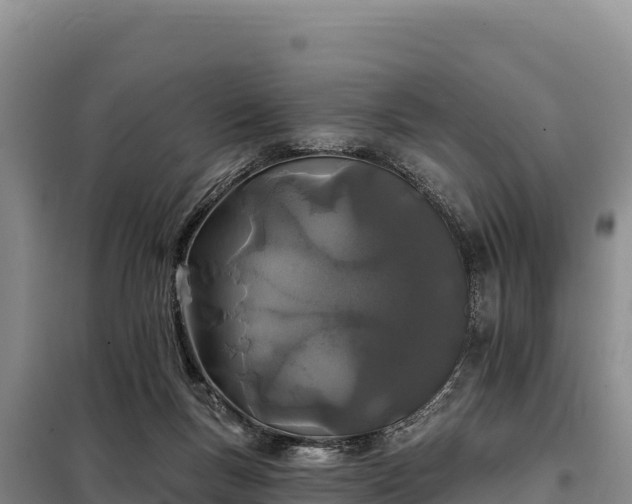 X0000099320167200805091050