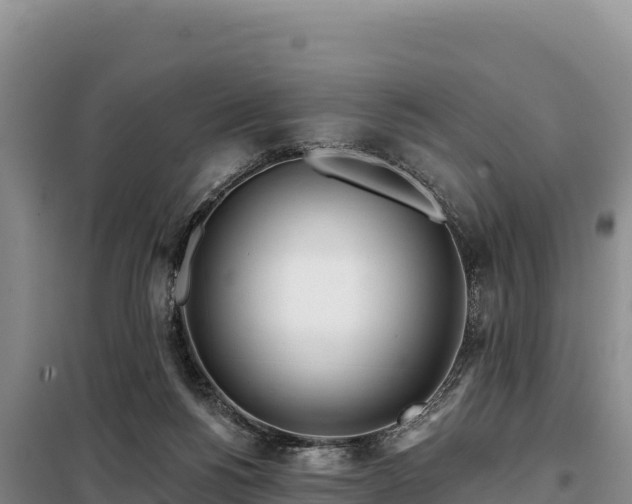 X0000099320168200805091050