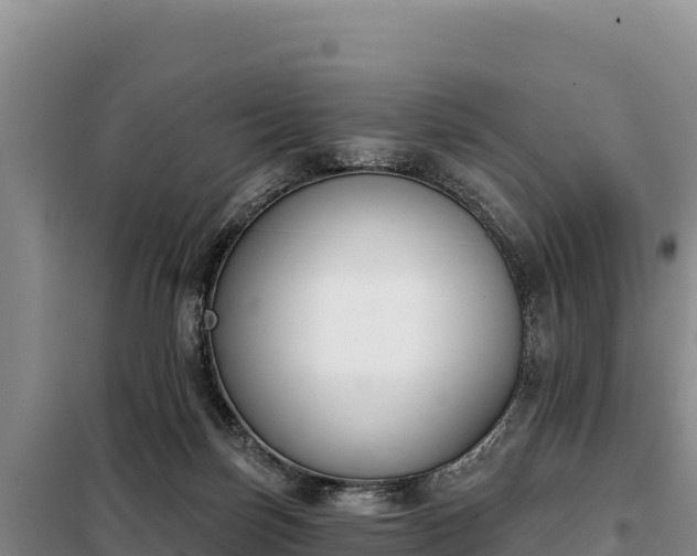 X0000099320171200805091050