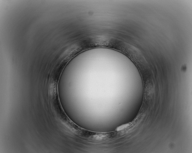 X0000099320172200805091050