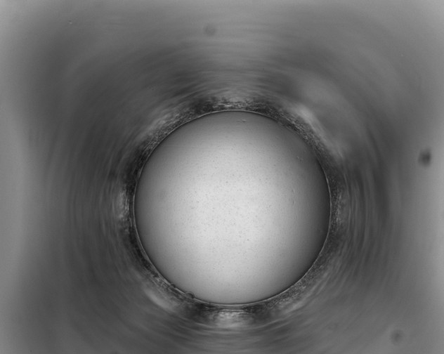 X0000099320173200805091050