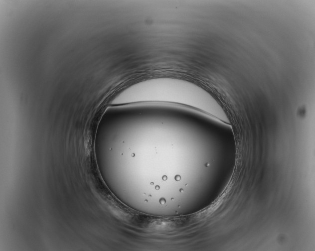 X0000099320174200805091050