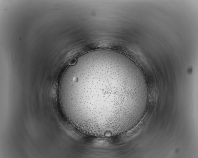 X0000099320175200805091050