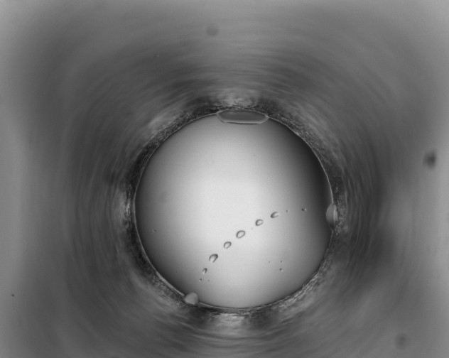 X0000099320176200805091050