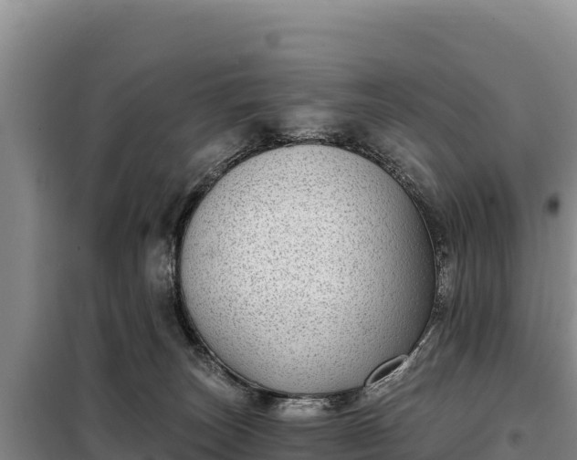 X0000099320179200805091050