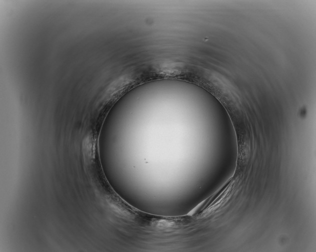 X0000099320180200805091050